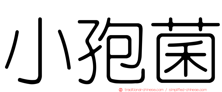 小孢菌