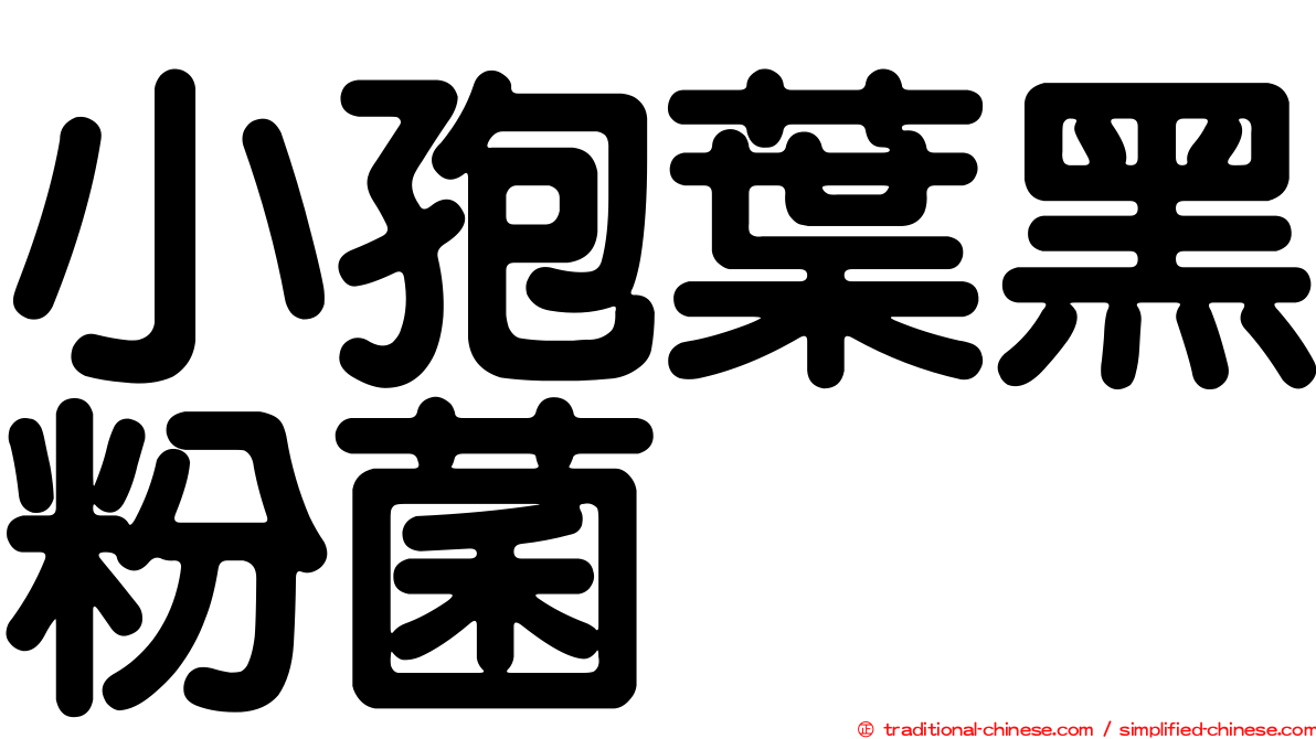 小孢葉黑粉菌