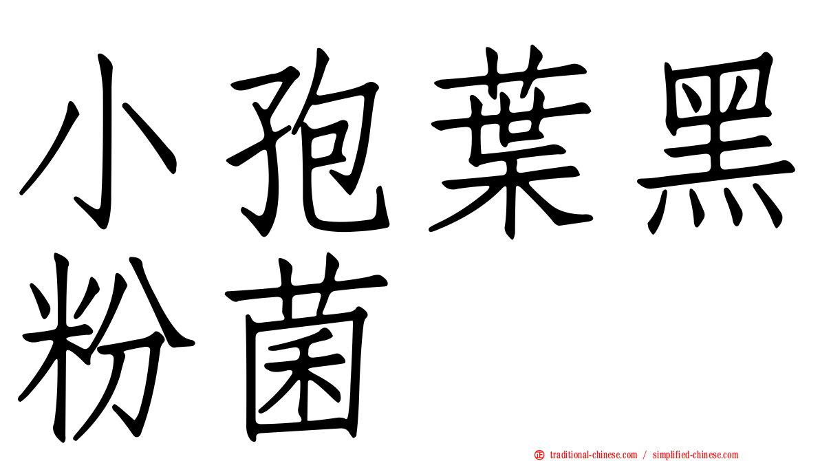 小孢葉黑粉菌