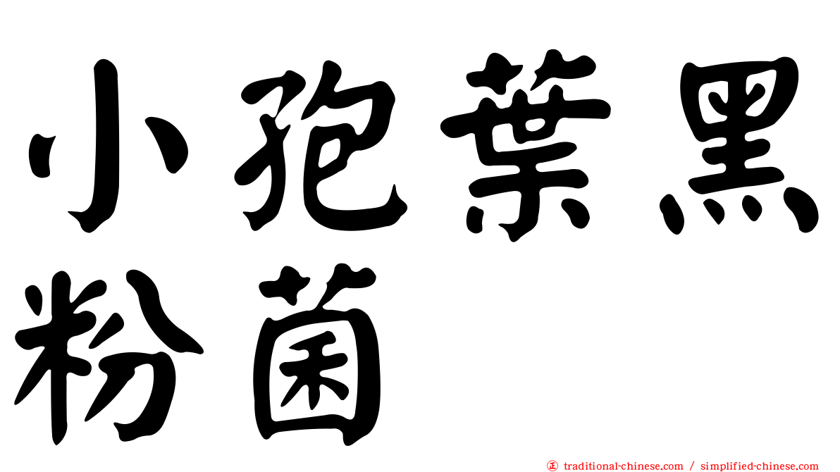 小孢葉黑粉菌