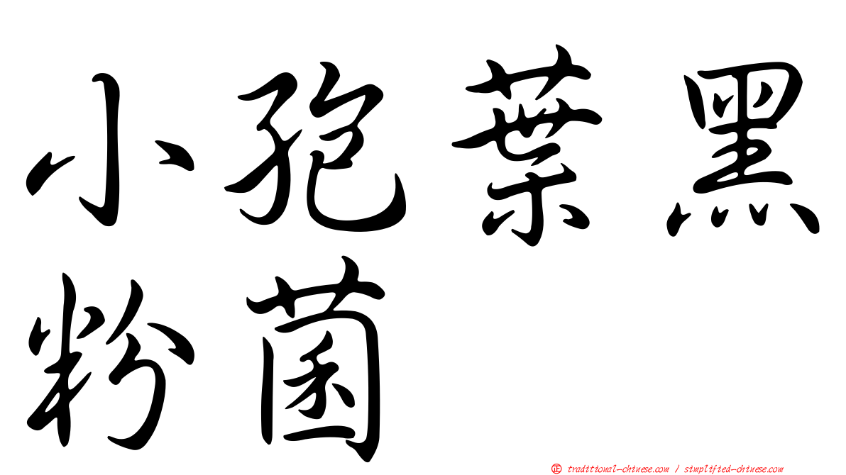 小孢葉黑粉菌