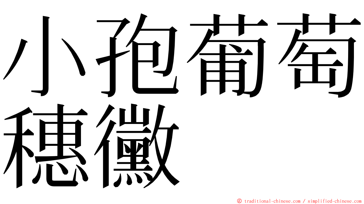 小孢葡萄穗黴 ming font