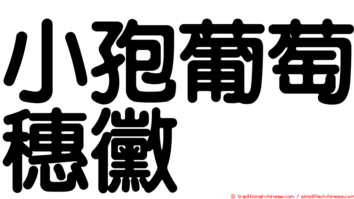 小孢葡萄穗黴
