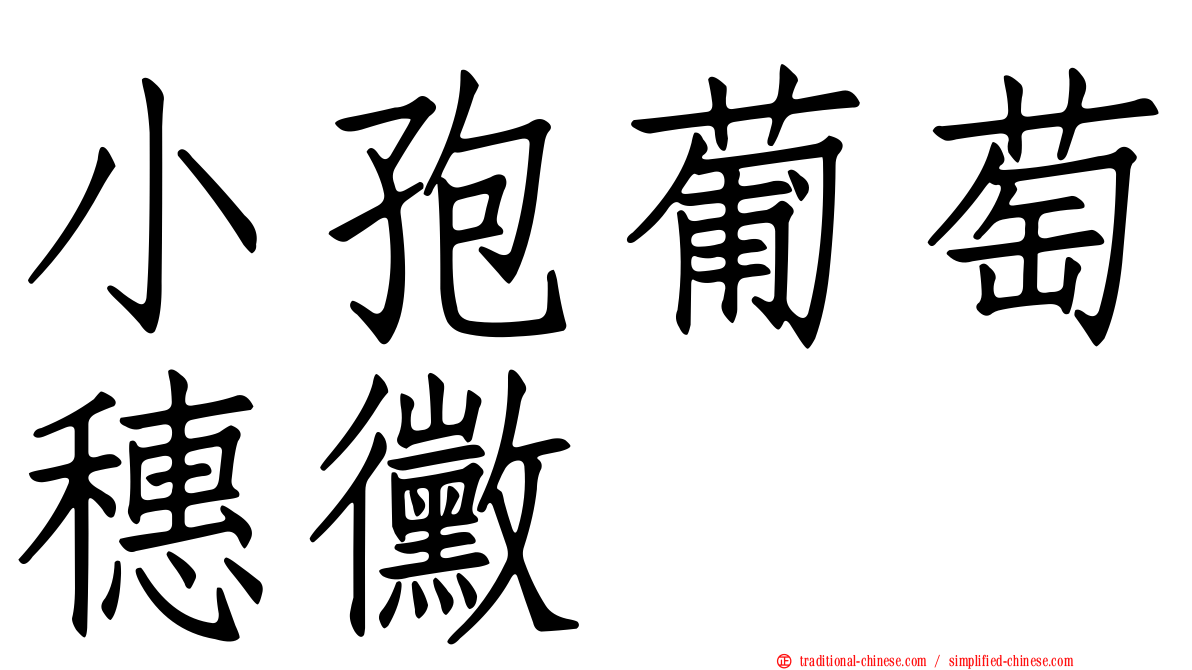 小孢葡萄穗黴