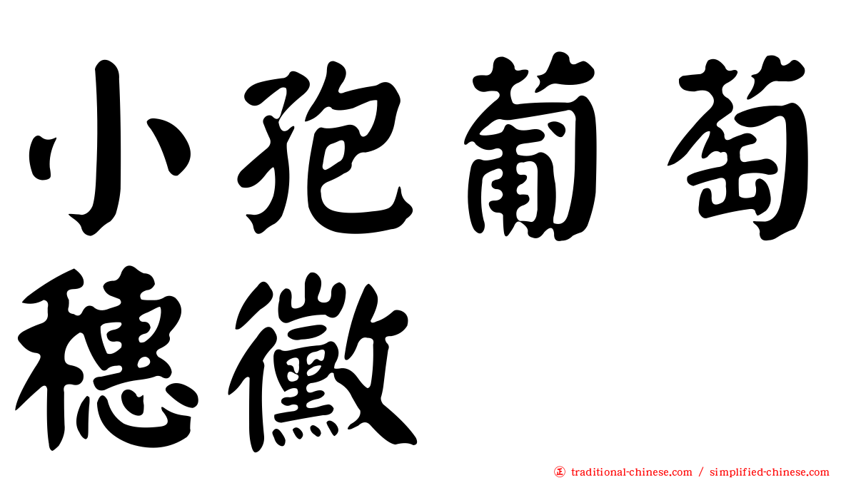 小孢葡萄穗黴