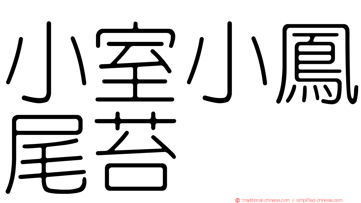 小室小鳳尾苔