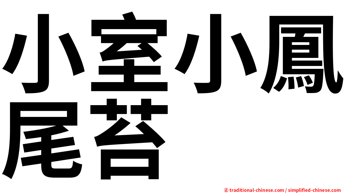小室小鳳尾苔