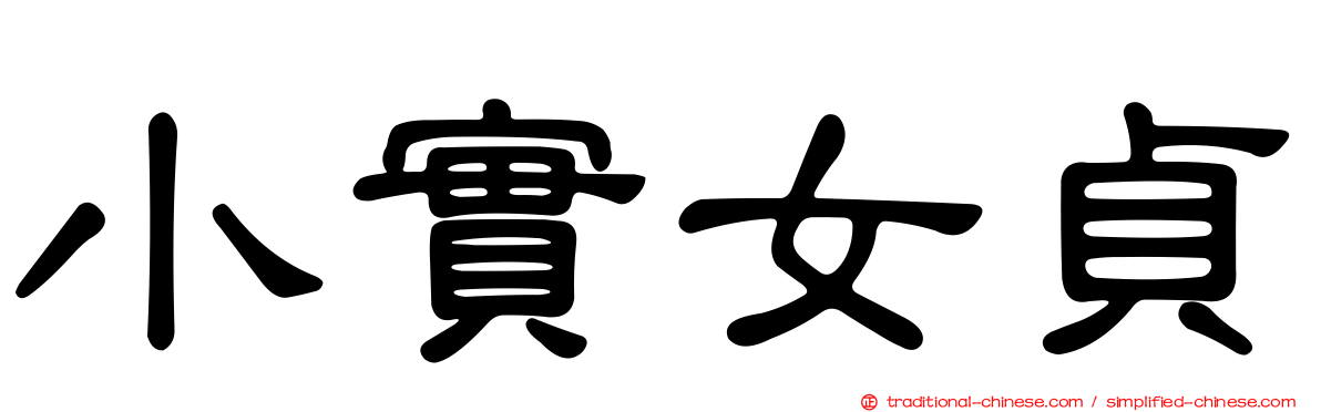 小實女貞