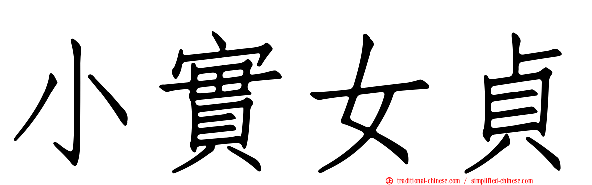 小實女貞