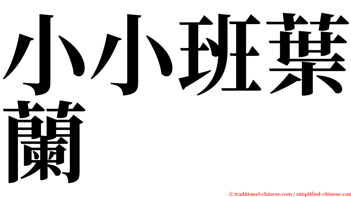 小小班葉蘭 serif font