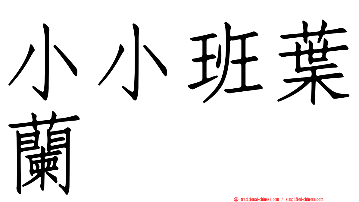 小小班葉蘭