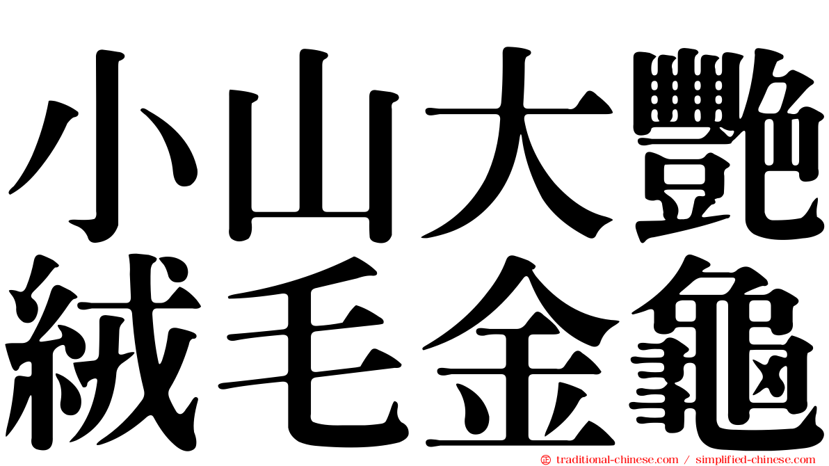 小山大艷絨毛金龜