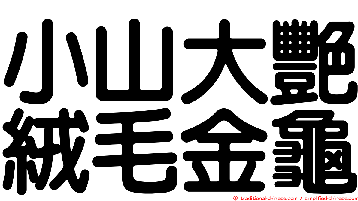 小山大艷絨毛金龜
