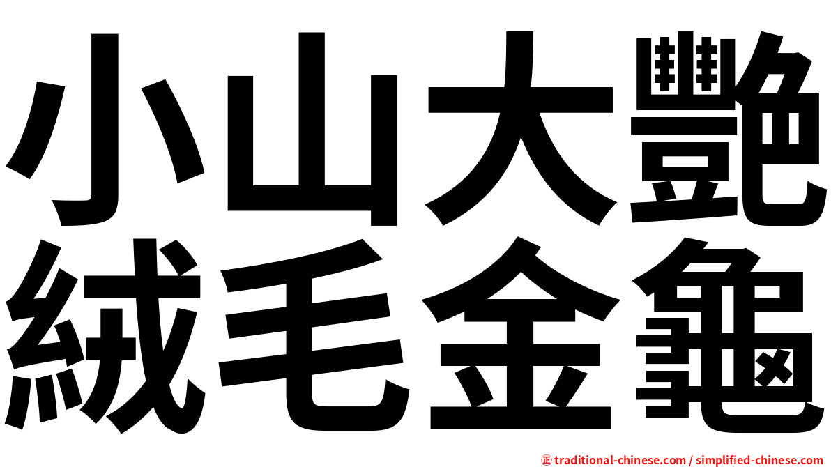 小山大艷絨毛金龜