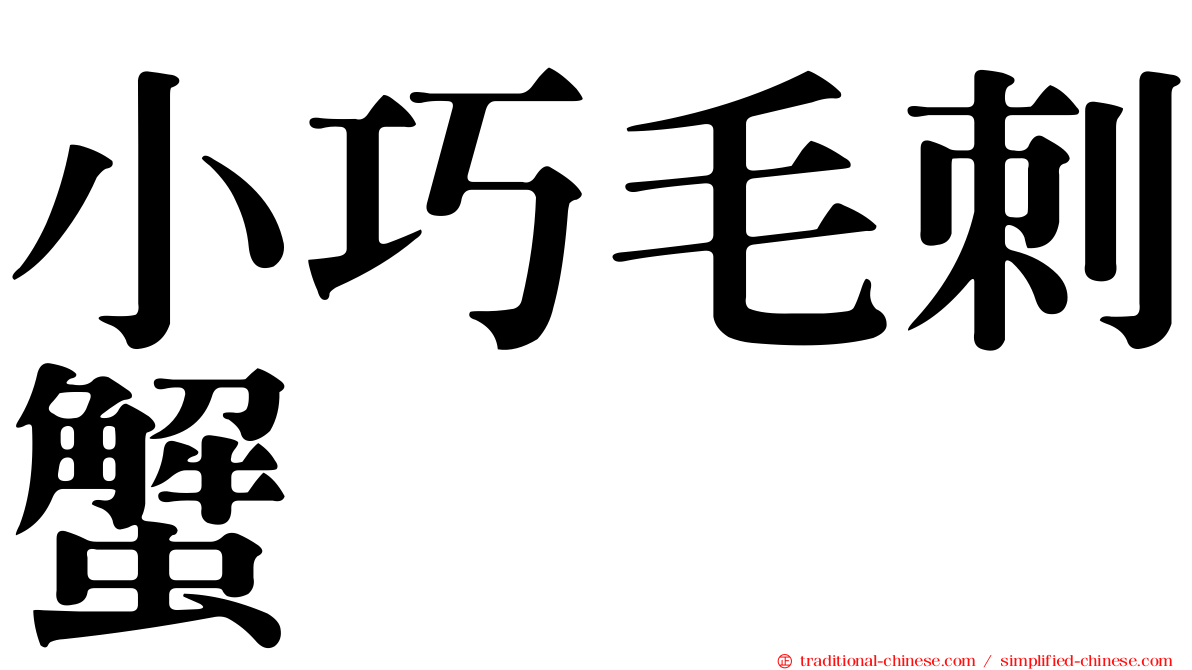 小巧毛刺蟹