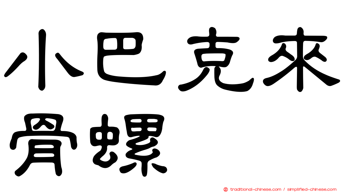 小巴克來骨螺