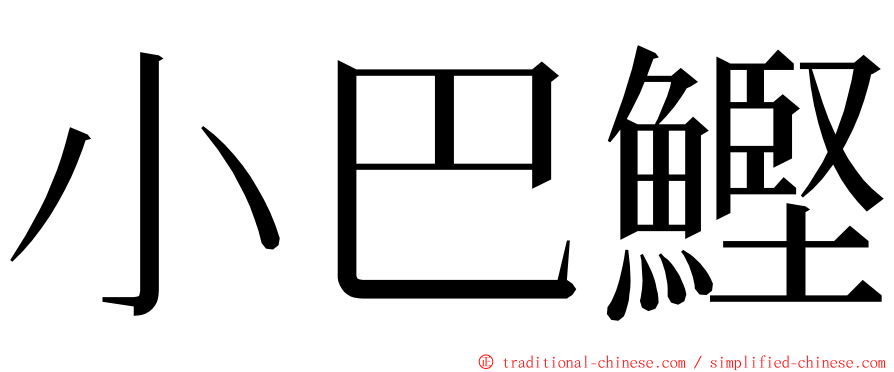 小巴鰹 ming font