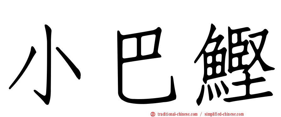 小巴鰹