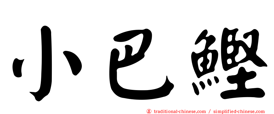 小巴鰹