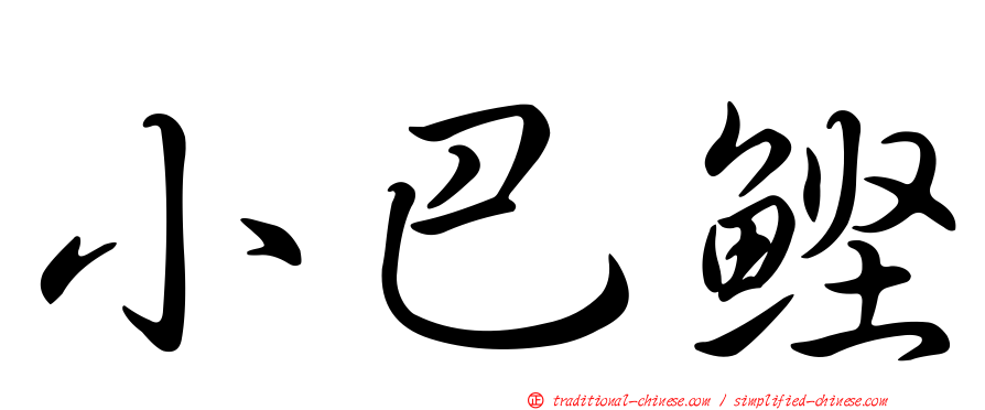 小巴鰹