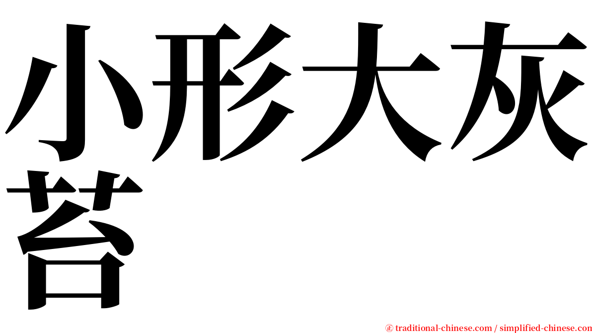 小形大灰苔 serif font