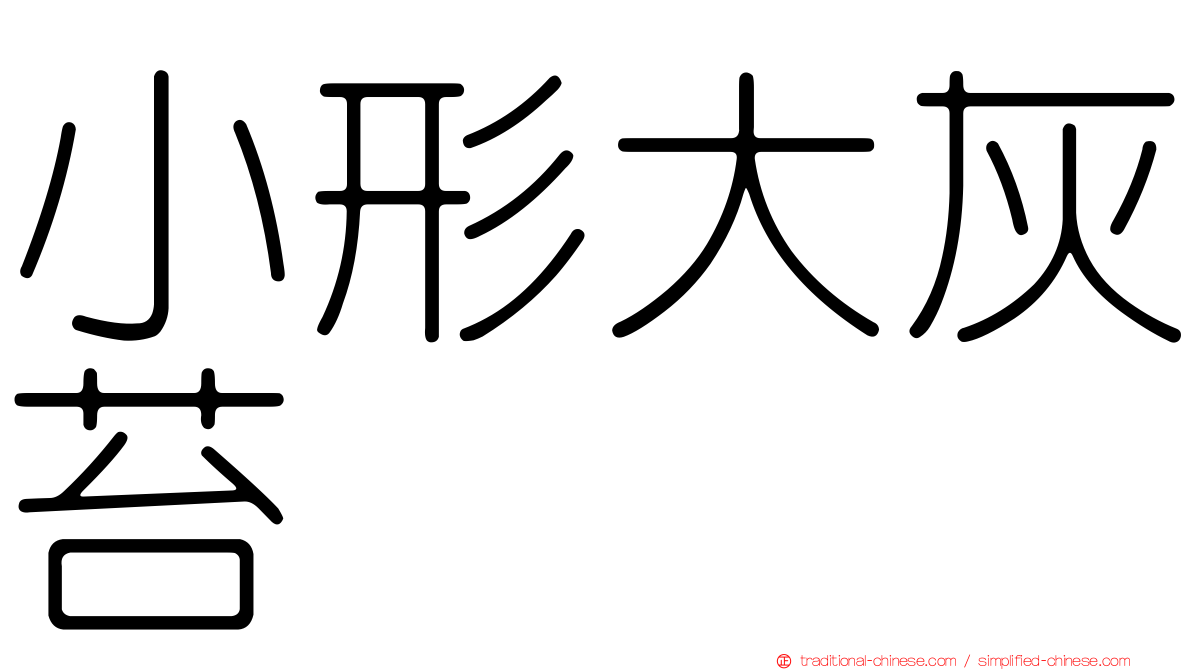 小形大灰苔