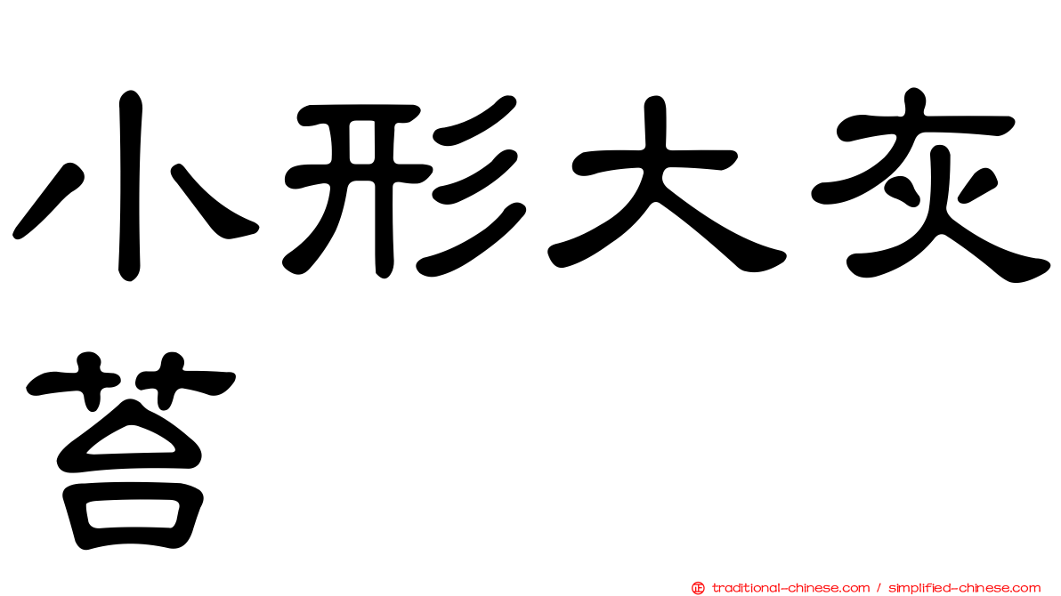 小形大灰苔