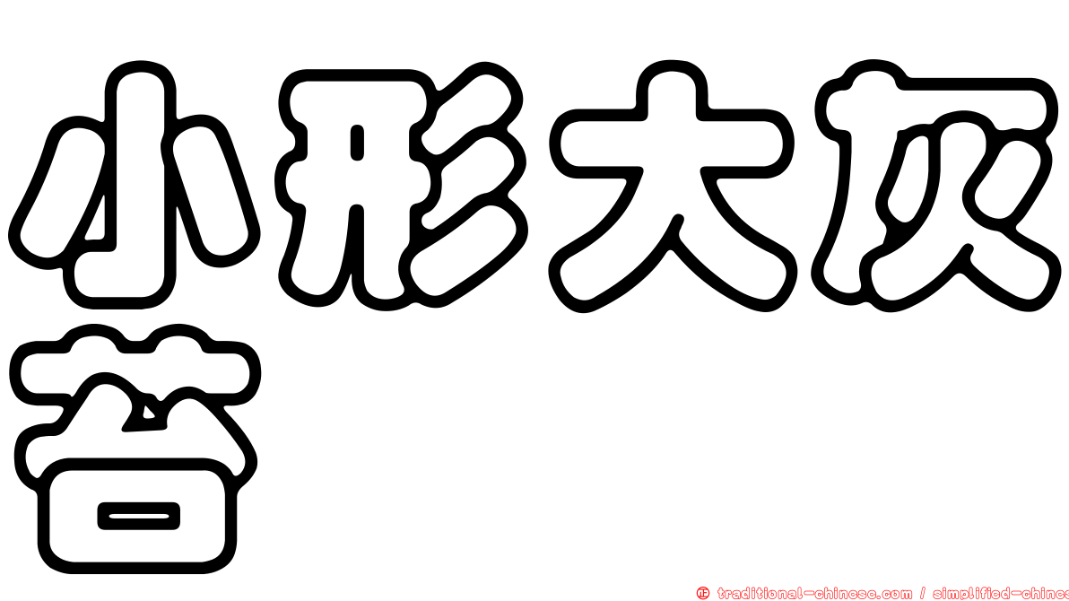 小形大灰苔