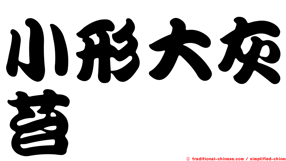 小形大灰苔