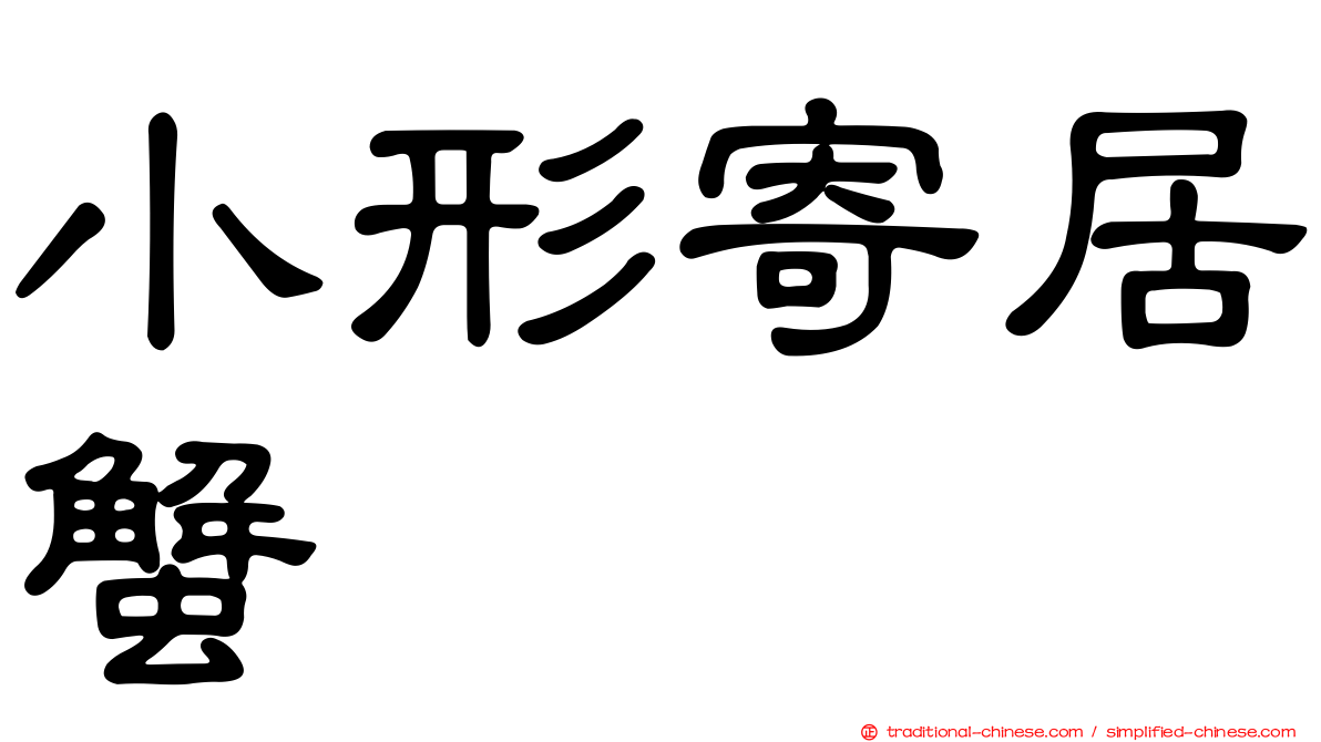 小形寄居蟹
