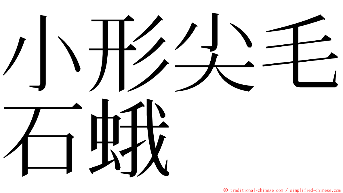 小形尖毛石蛾 ming font