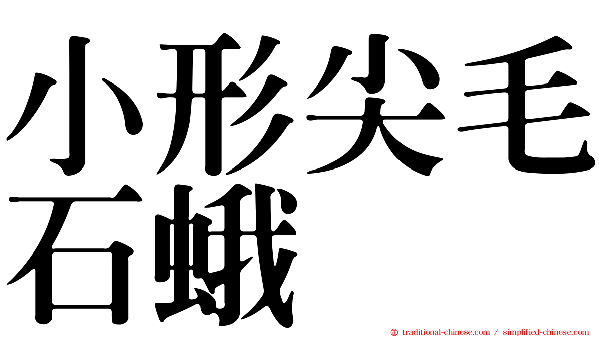 小形尖毛石蛾