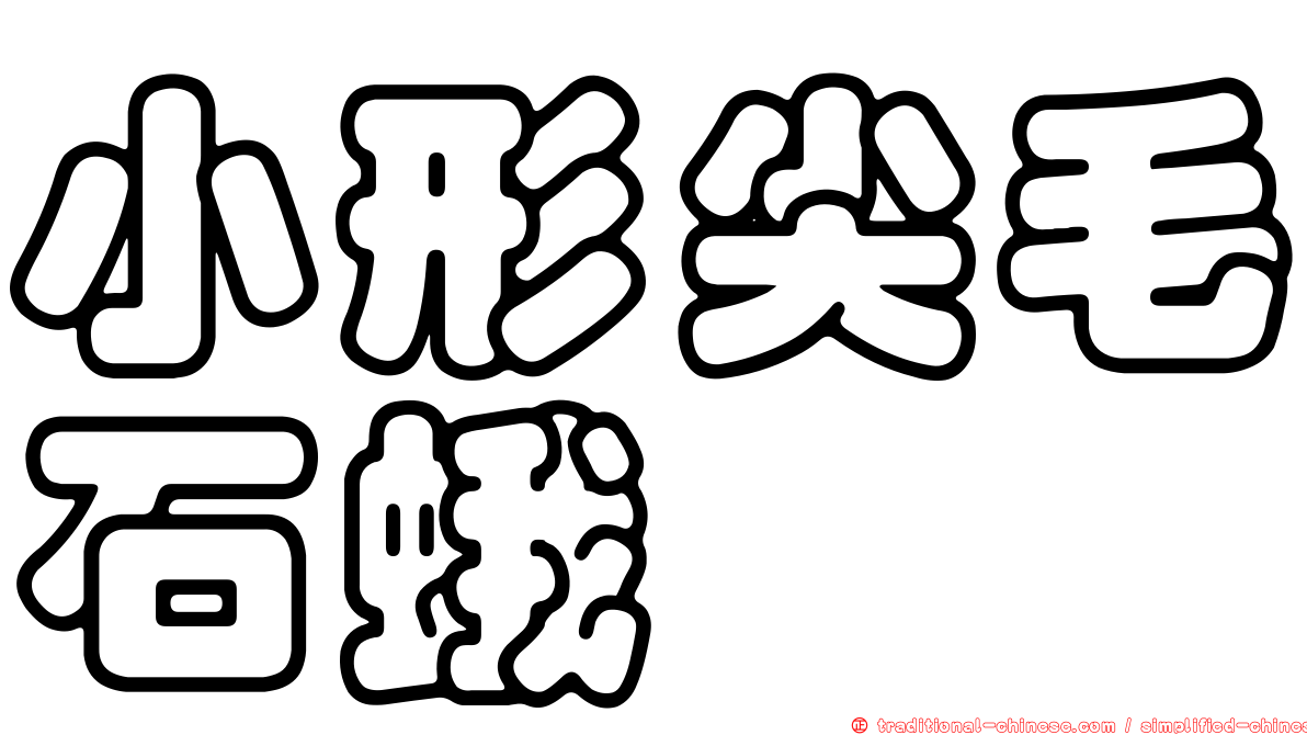小形尖毛石蛾