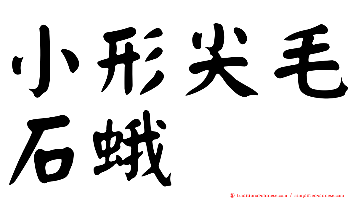 小形尖毛石蛾