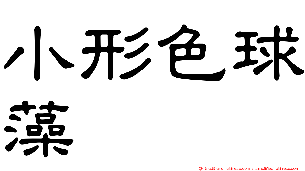 小形色球藻