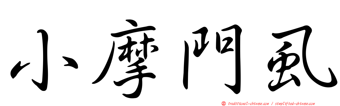 小摩門虱