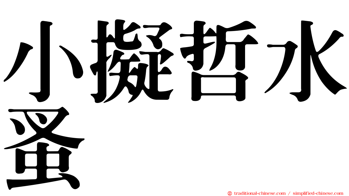 小擬哲水蚤