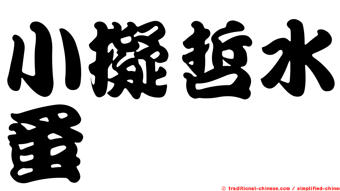 小擬哲水蚤