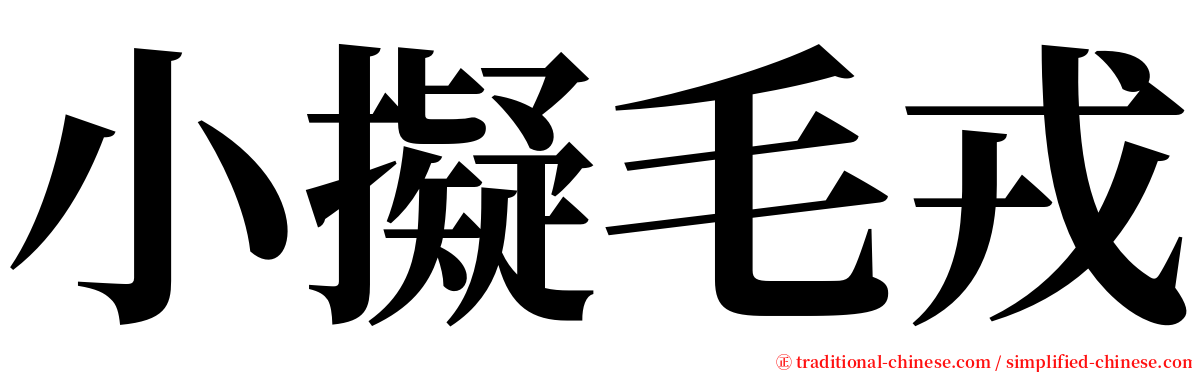 小擬毛戎 serif font