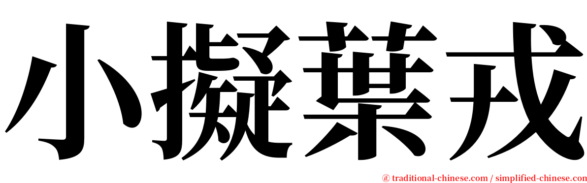 小擬葉戎 serif font