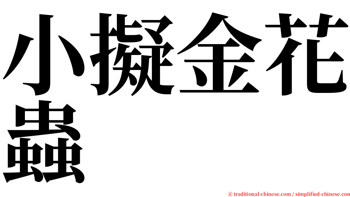 小擬金花蟲 serif font