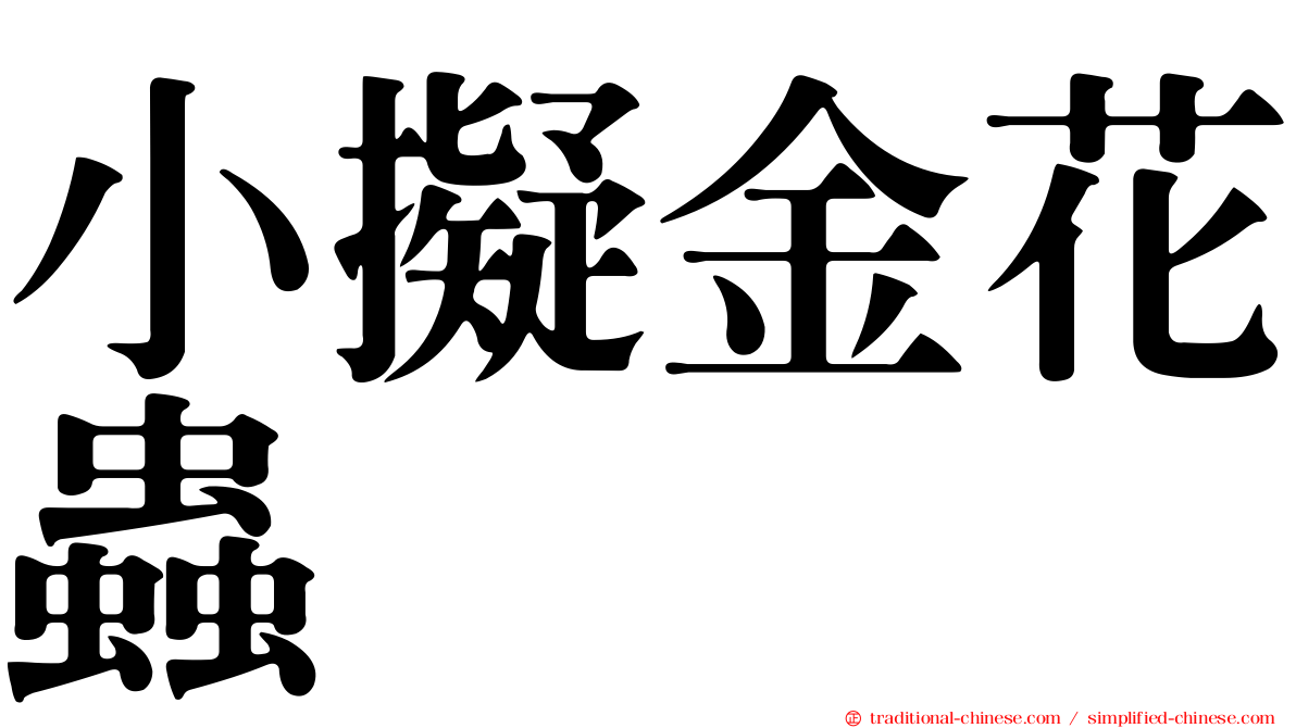 小擬金花蟲
