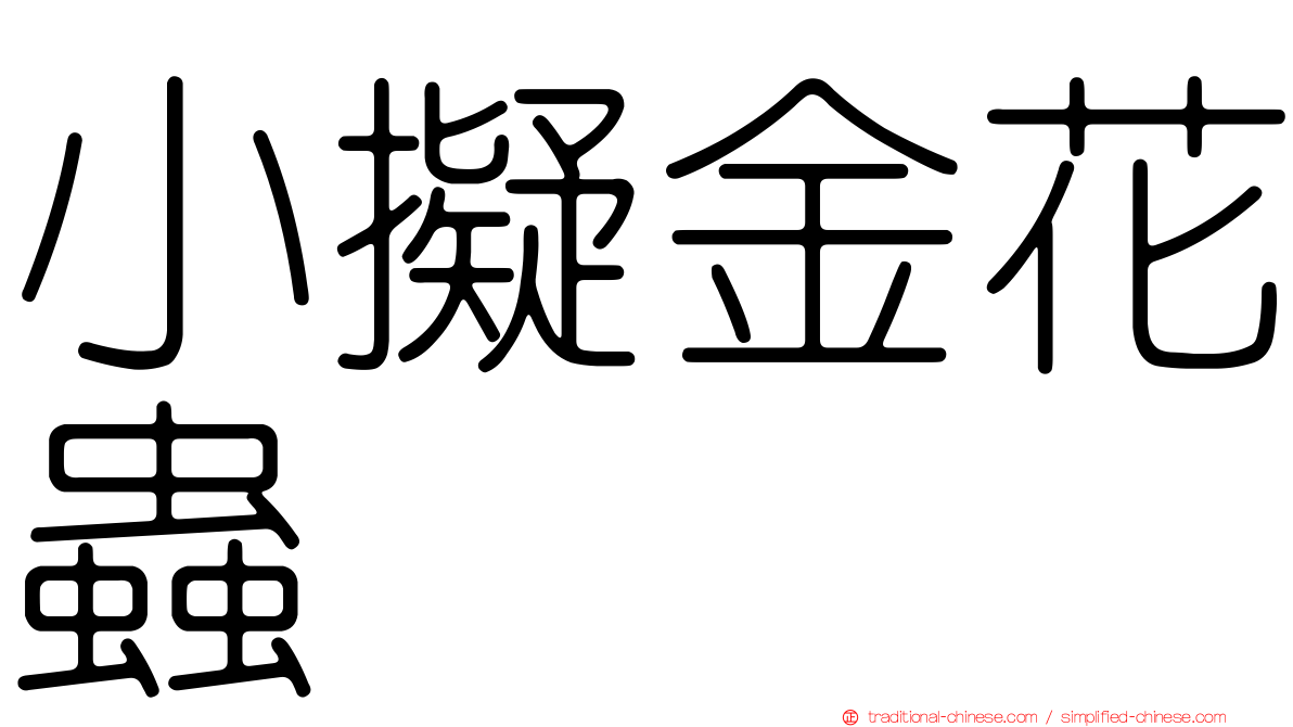 小擬金花蟲