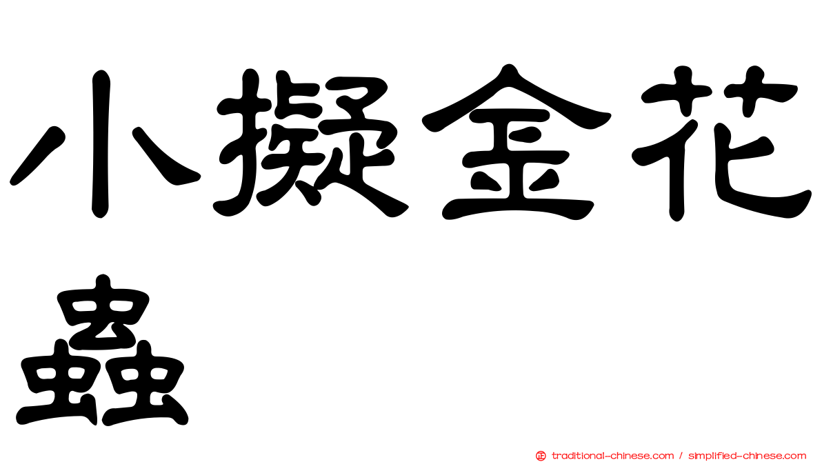 小擬金花蟲