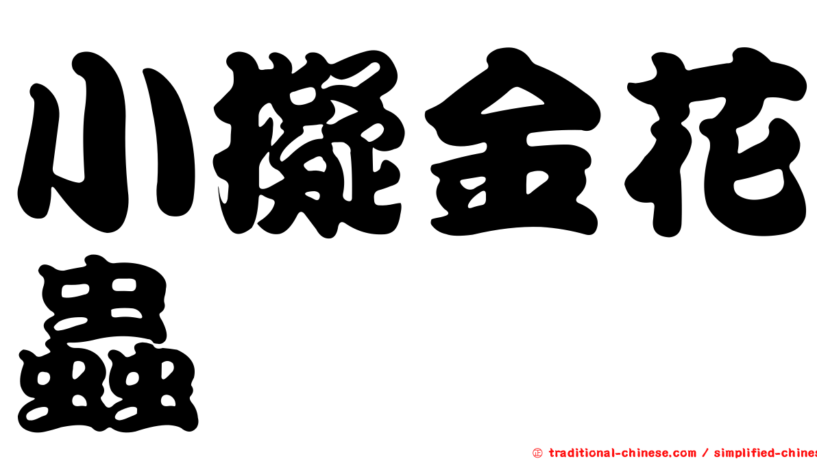 小擬金花蟲