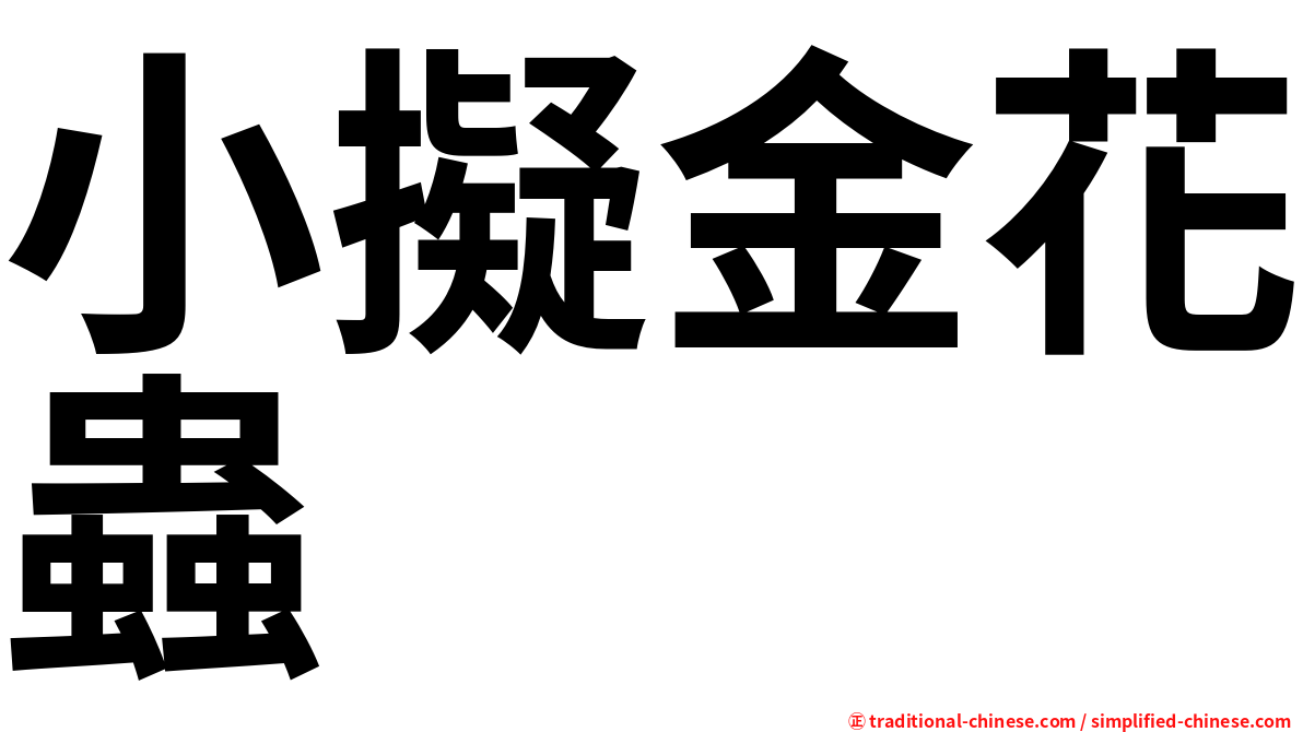 小擬金花蟲