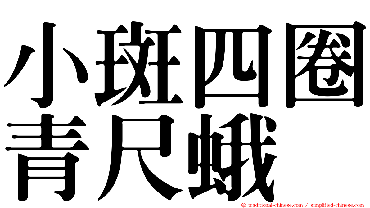 小斑四圈青尺蛾