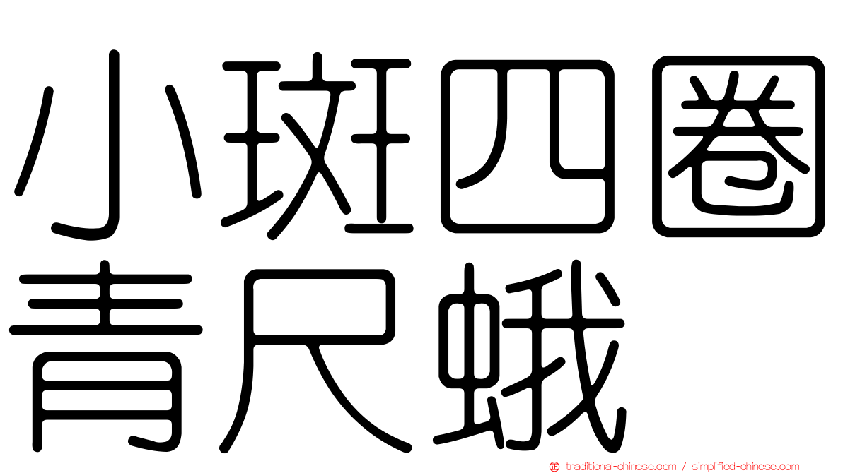 小斑四圈青尺蛾