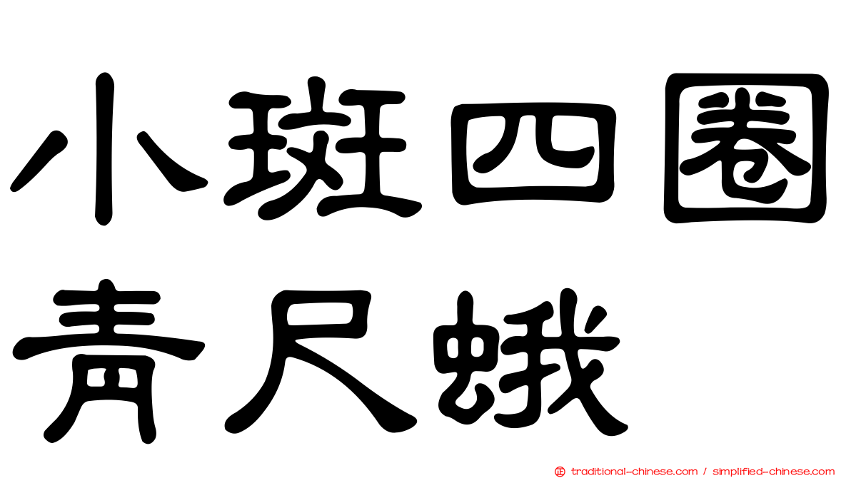 小斑四圈青尺蛾