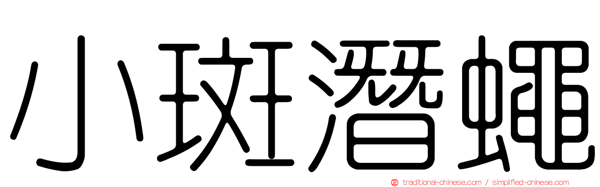 小斑潛蠅